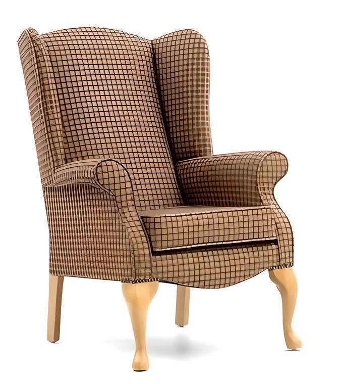 Newby Lounge Chair - main image